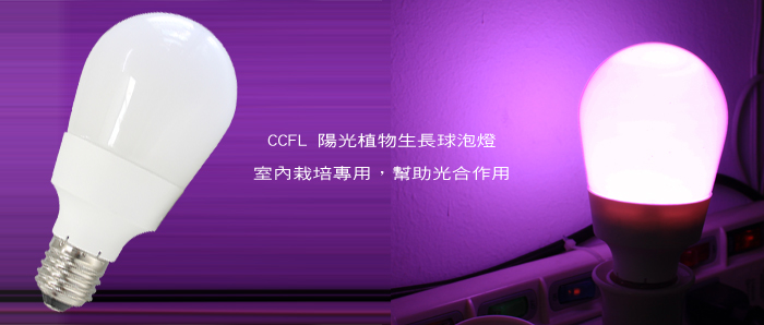 CCFL - 植物生長球泡燈 11W 
